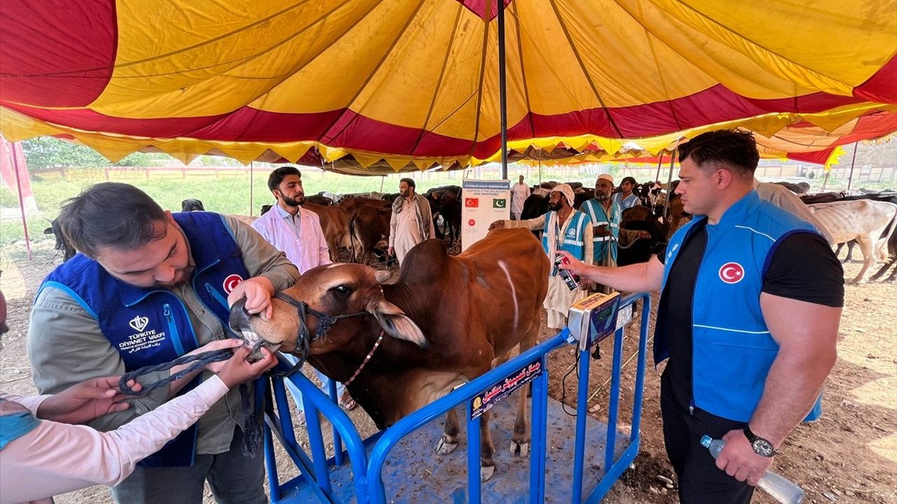 Milli Güreşçi Rıza Kayaalp, TDV'nin Pakistan'daki Kurban Organizasyonunda
