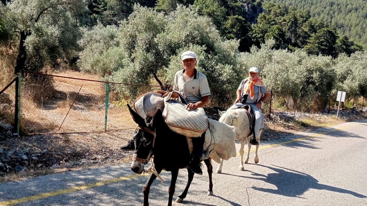 Muğla'da 22. Göcek, Gürsu, Pırnaz Yayla Yürüyüşü Coşkuyla Gerçekleşti