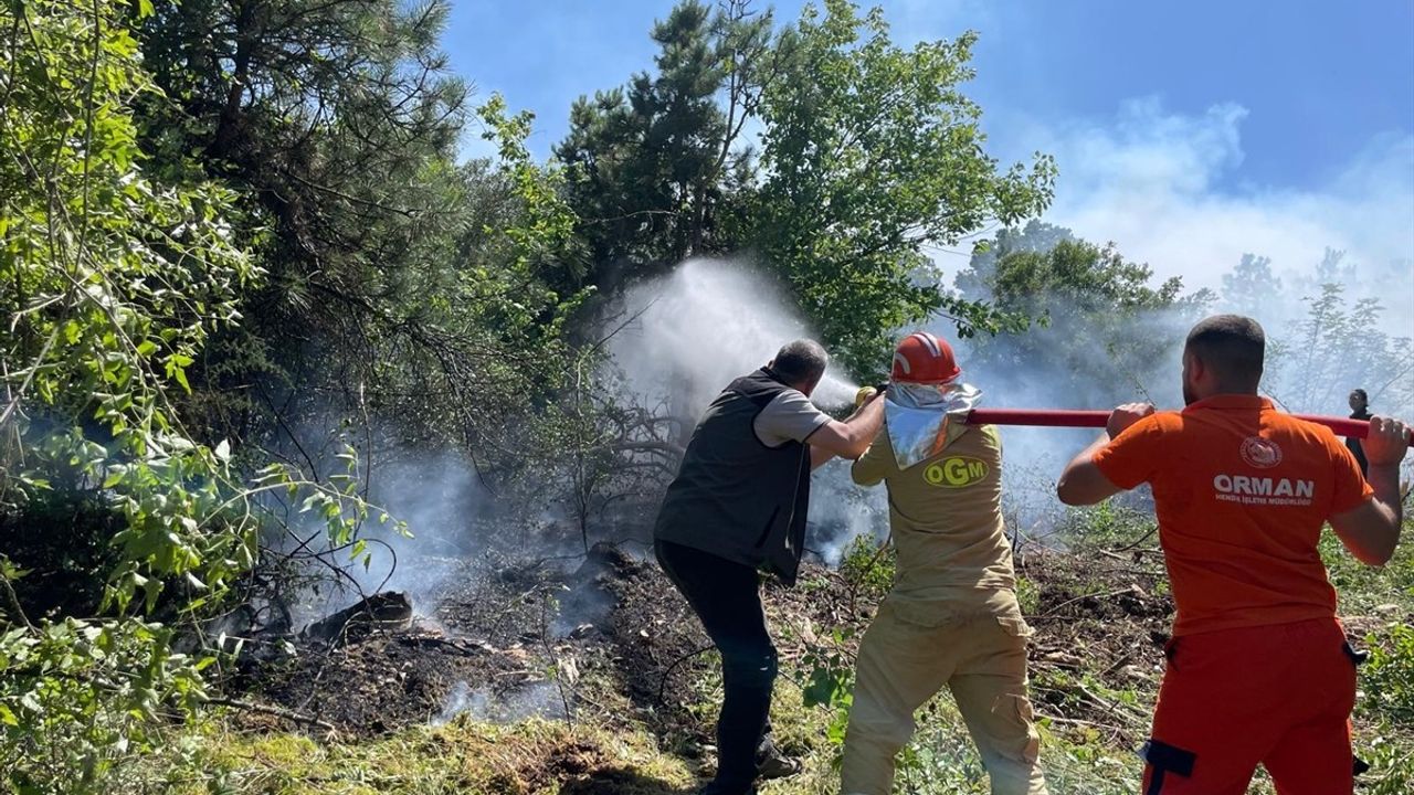 Muğla'da Orman Yangını Anında Kontrol Altına Alındı