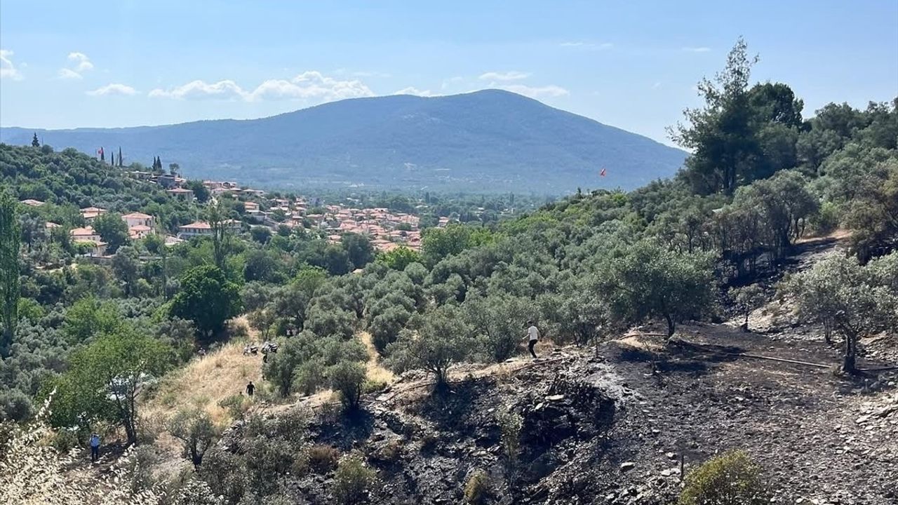 Muğla'daki Yangın Kontrol Altına Alındı