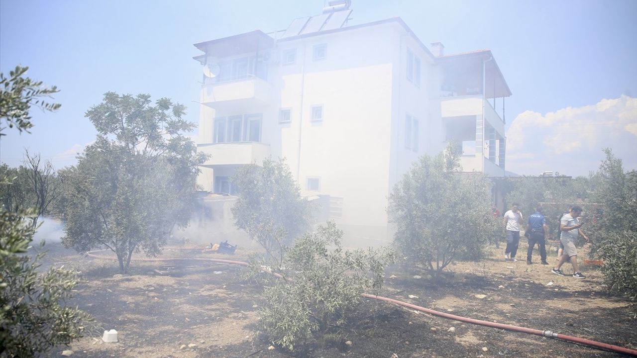 Muğla'daki Zeytinliğe Sıçrayan Yangın Kontrol Altına Alındı