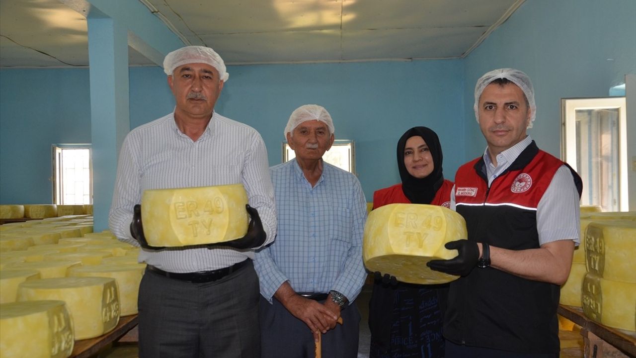 Muş'tan Tüm Ülkeye: Coğrafi İşaretli Eski Kaşar Peyniri