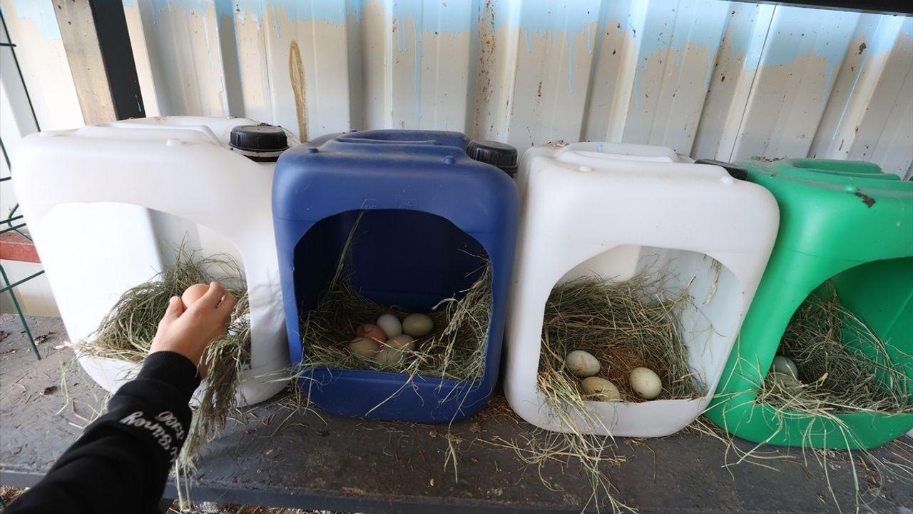 Öğrenciler Hem Müzik Hem Tarım Öğreniyor: Antalya'daki Özel Proje