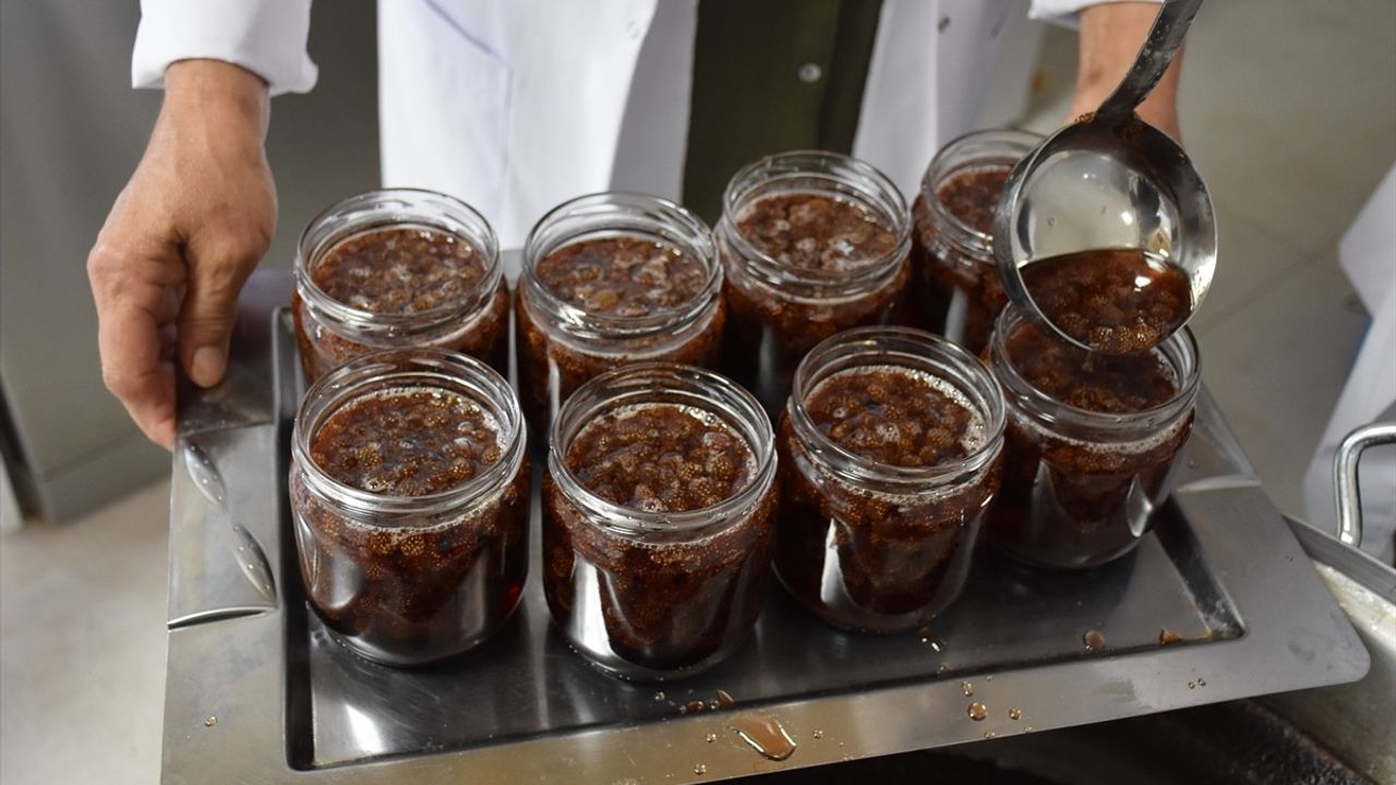 Ordu'daki Kadın Kooperatiflerinin Başarı Hikayesi Belgesel Oluyor