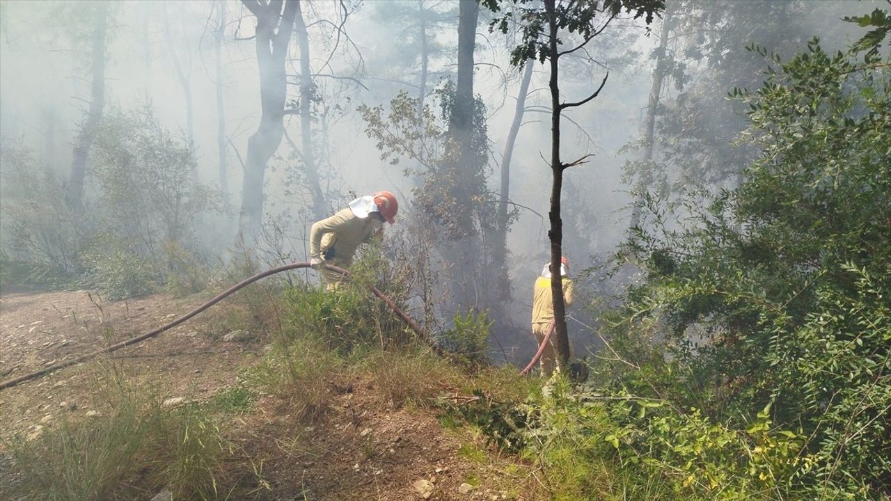 Osmaniye'de Orman Yangını: Hava ve Kara Ekipleri Seferber