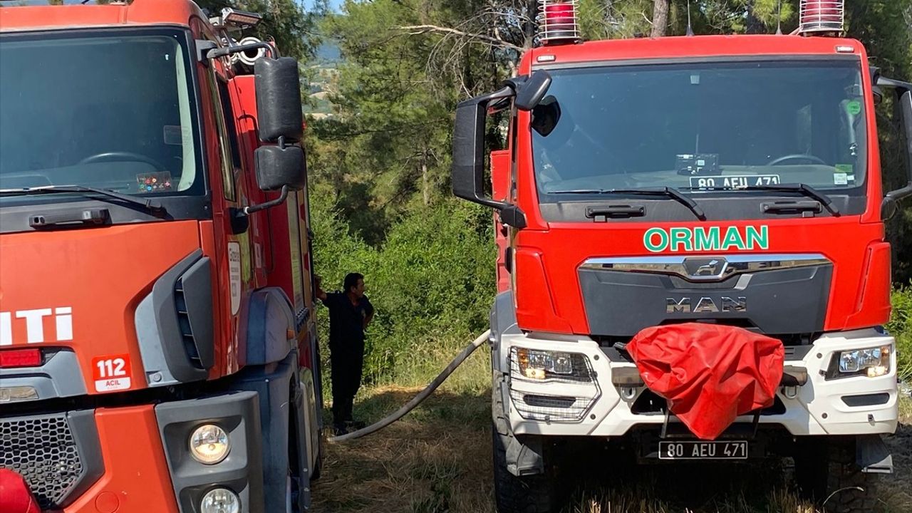 Osmaniye'deki Orman Yangını Kontrol Altına Alındı