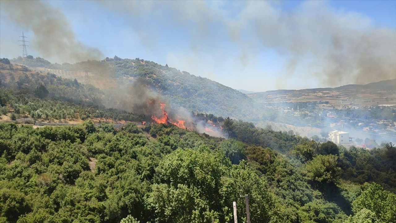 Osmaniye Düziçi'nde Orman Yangını Kontrol Altına Alındı