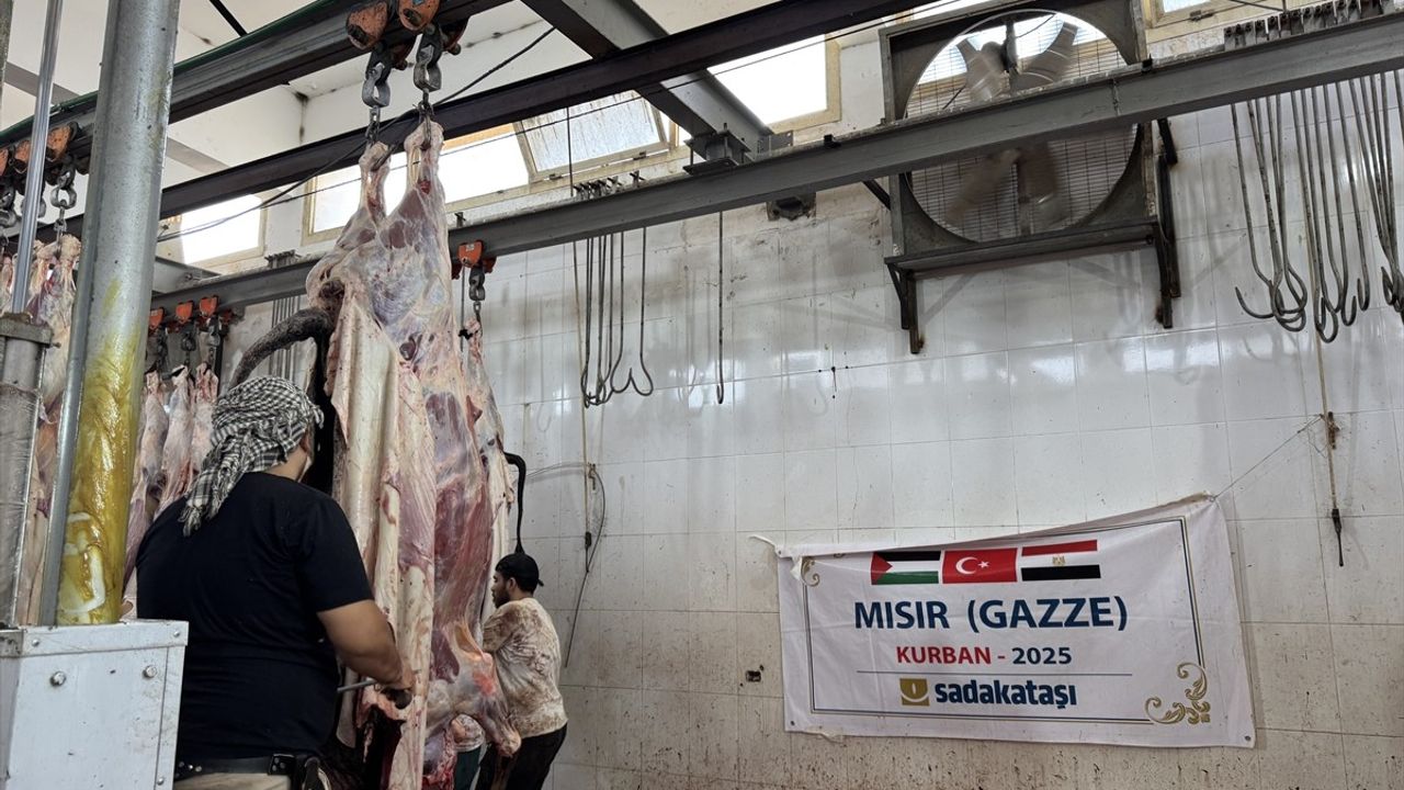 Sadakataşı Derneği, Mısır'da Gazze için Kurban Kesimini Tamamladı