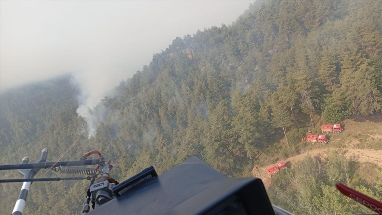 Sakarya'da Orman Yangını: Gölpazarı'nda Evler Zarar Gördü