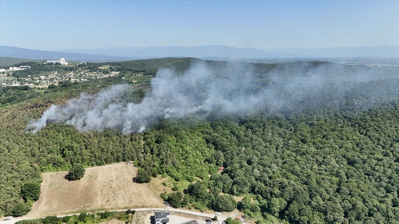 Sakarya'da Orman Yangını Kontrol Altına Alındı