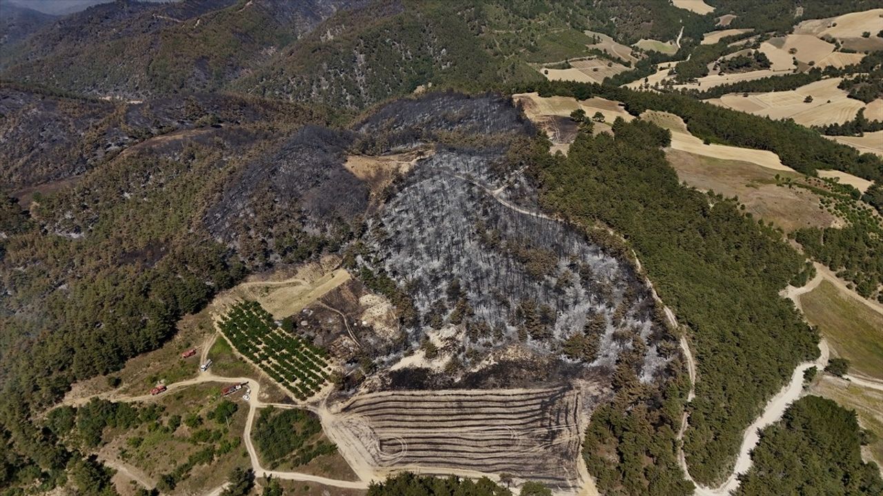 Sakarya'da Orman Yangınına Hızla Müdahale Ediliyor