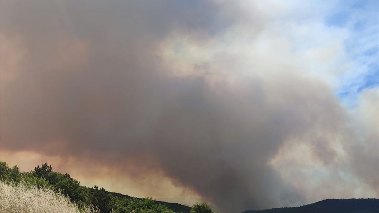 Sakarya'daki Orman Yangını Bilecik'e Sıçradı: Muratlar Mahallesi Tahliye Edildi