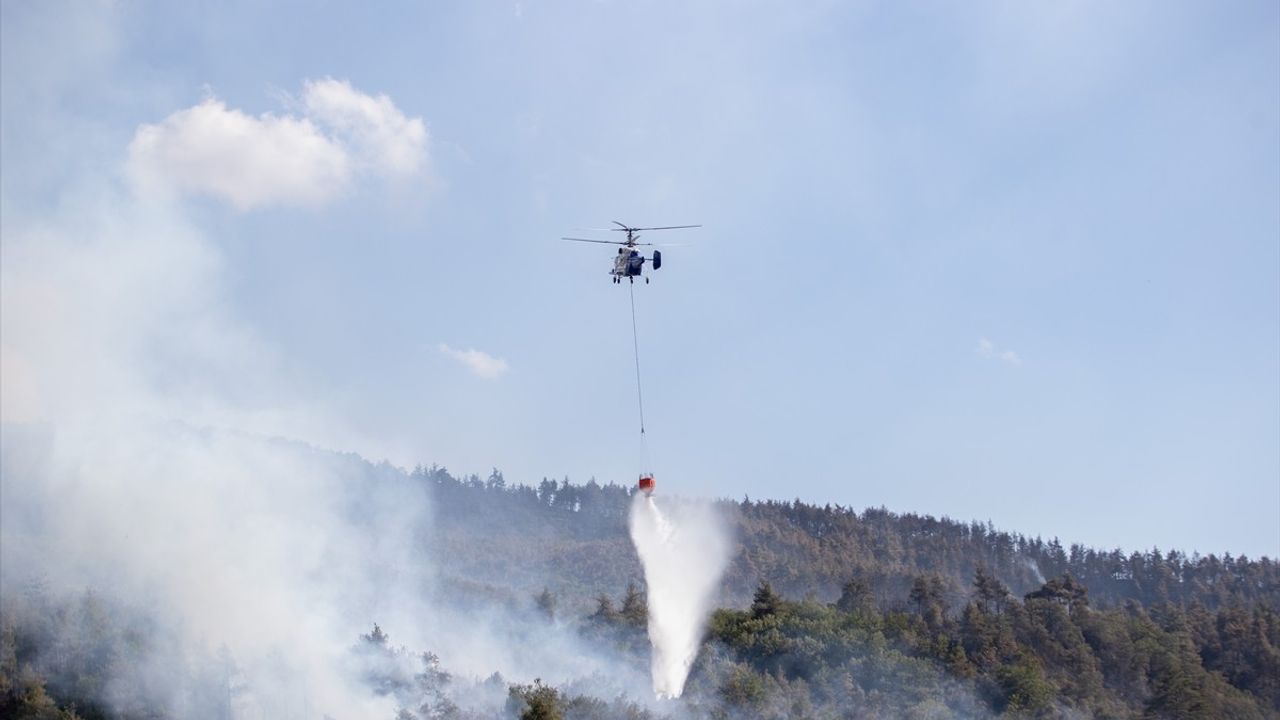 Sakarya'daki Orman Yangını Kontrol Altında, Soğutma Çalışmaları Devam Ediyor