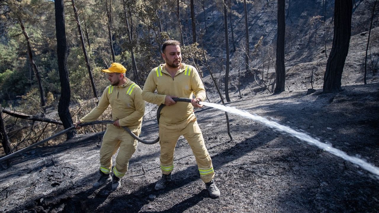 Sakarya'daki Orman Yangını: Soğutma Çalışmaları Devam Ediyor