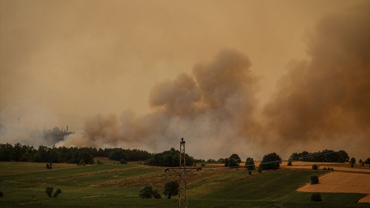 Sakarya'daki Orman Yangınına Hızla Müdahale Devam Ediyor