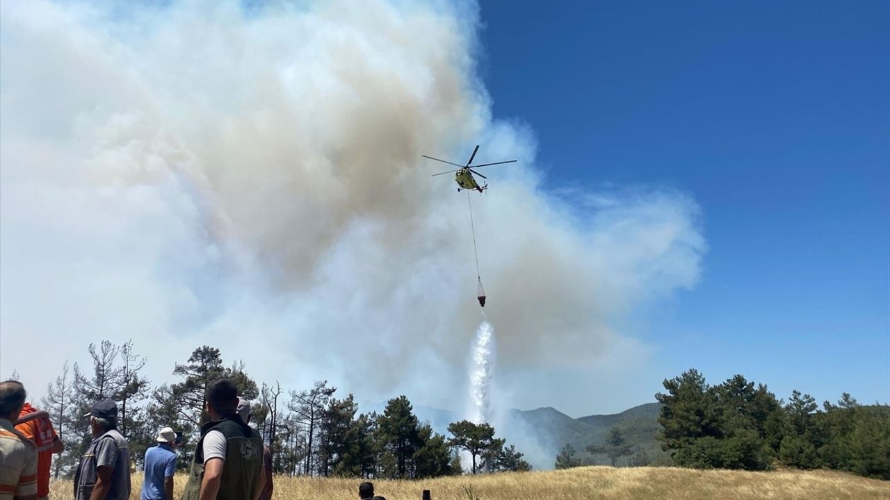 Sakarya'daki Orman Yangınına Hızlı Müdahale