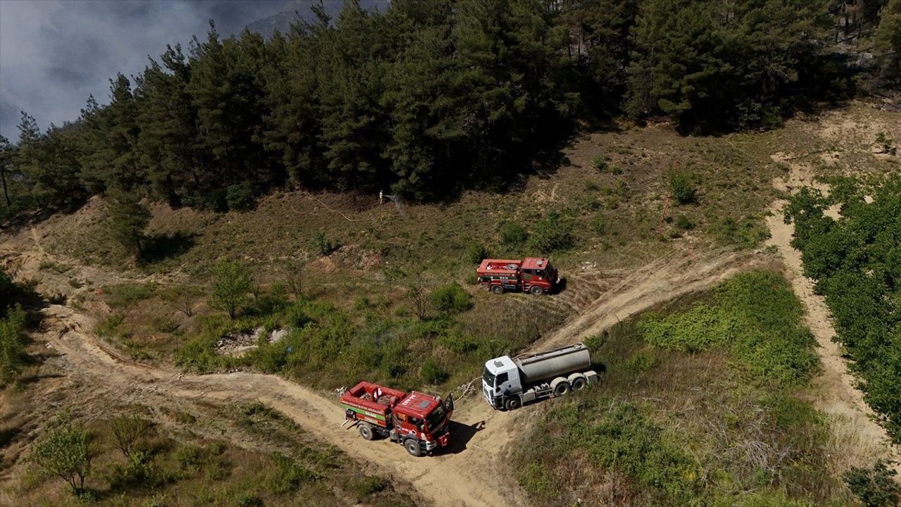 Sakarya'daki Orman Yangınına Müdahale Devam Ediyor