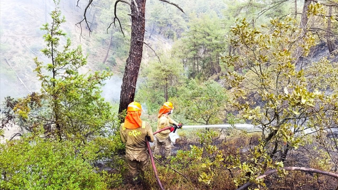 Sakarya'daki Orman Yangınında Söndürme Çalışmaları Devam Ediyor