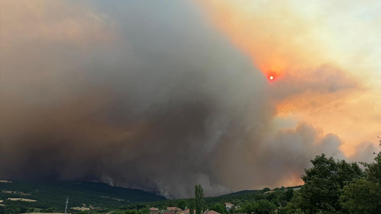 Sakarya'daki Yangın Bilecik'e Ulaştı: Validen Açıklama