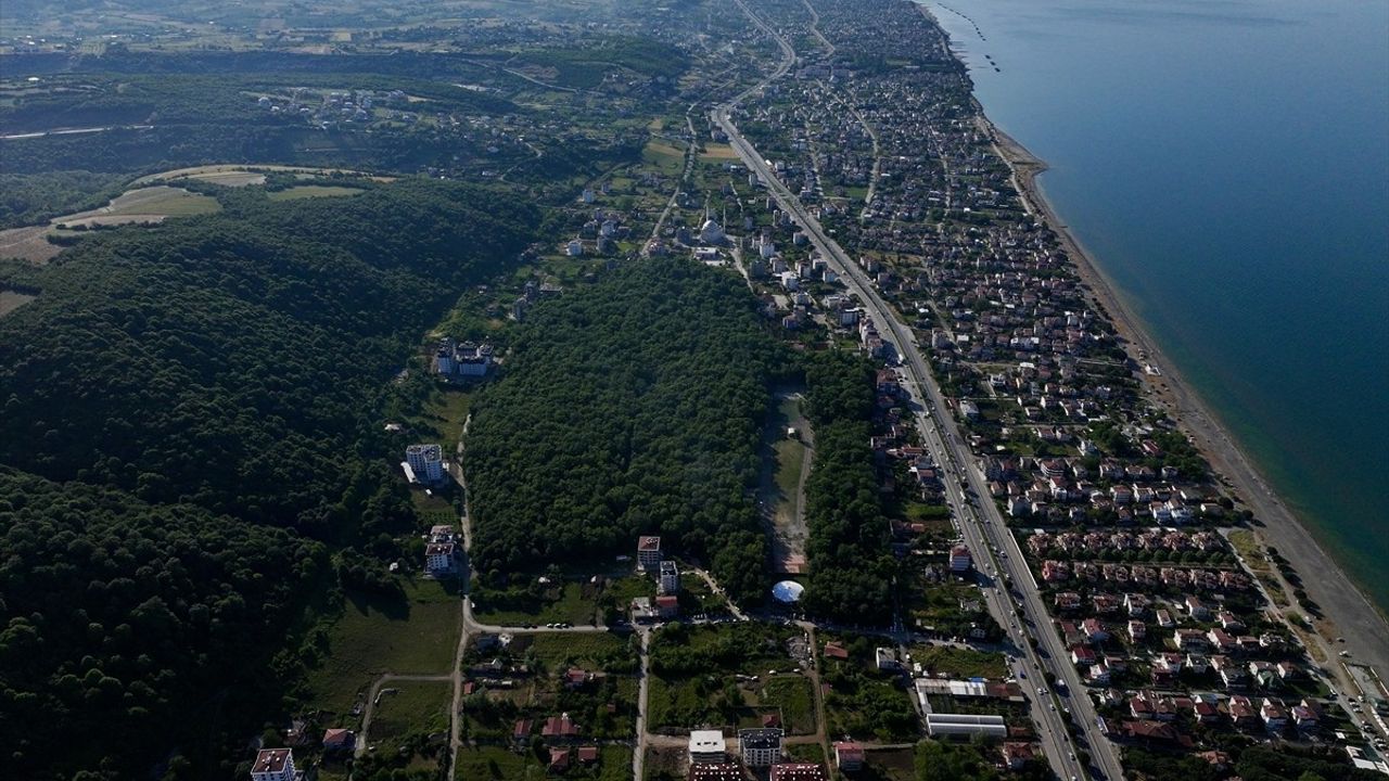 Samsun'daki Çakırlar Korusu: Doğa Aşıkları İçin Gözde Mekan