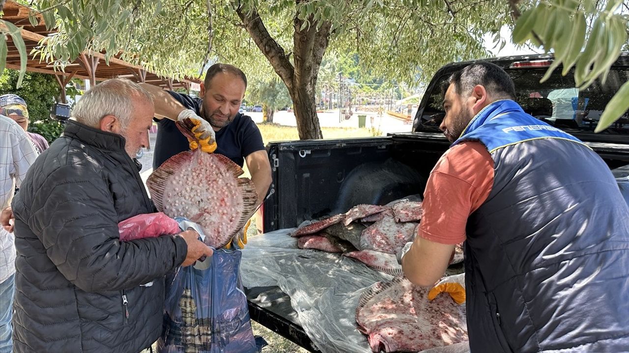 Sinop'ta Kaçak Avlanan 1611 Kalkan Balığına El Konuldu
