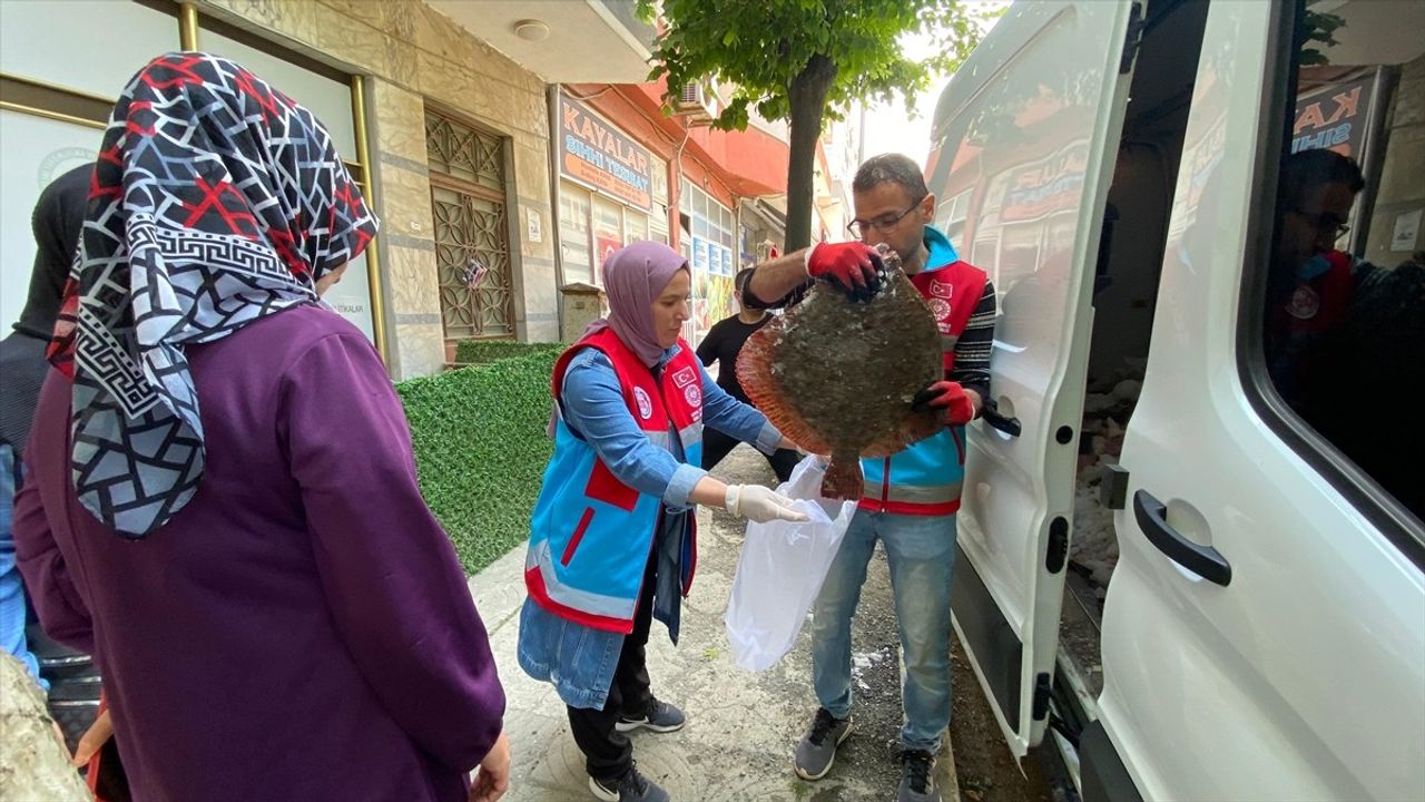 Sinop’ta Kaçak Avlanan 363 Kalkan Balığı Vatandaşlara Dağıtıldı