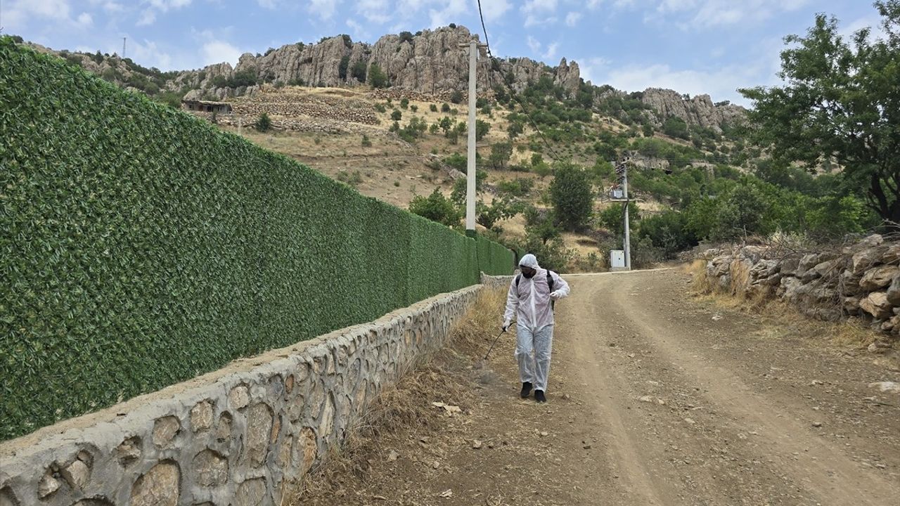 Şırnak’ta Çekirge Yoğunluğuna Karşı 700 Dekar Alanda İlaçlama Yapıldı