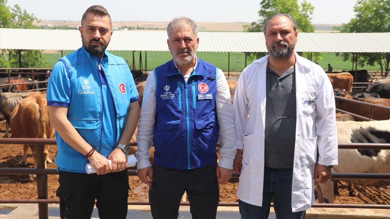 TDV Diyarbakır'da 4 Bin 25 Kurban Hissesi ile İhtiyaç Sahiplerine Yardım Eli Uzatıyor
