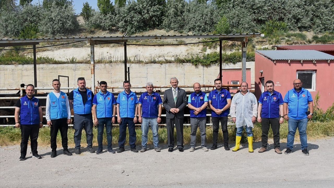 TDV, Van'da 6 Bin 825 Hisse Kurbanlığın Kesimine Başladı