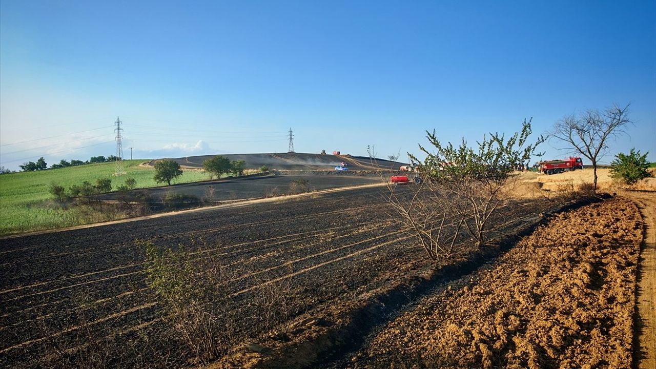 Tekirdağ'da 200 Dekar Buğday Tarlası Yandı
