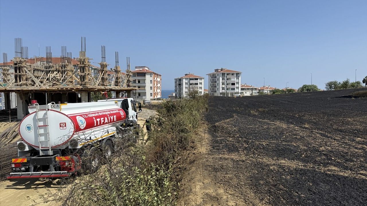 Tekirdağ'da 30 Dekar Buğday Tarlası Kül Oldu