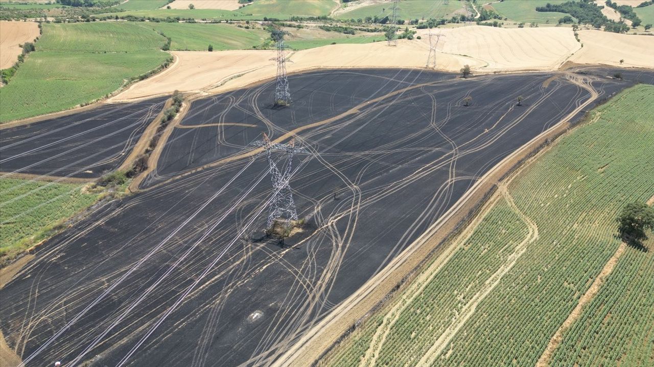 Tekirdağ'da 340 Dekar Buğday Alanı Yangınla Kül Oldu