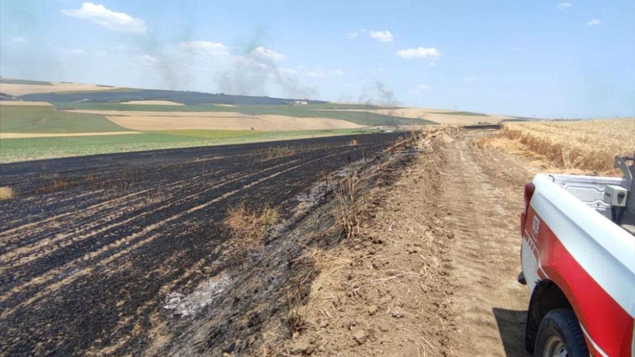 Tekirdağ'da 70 Dönüm Buğday Tarlasını Kül Eden Yangın