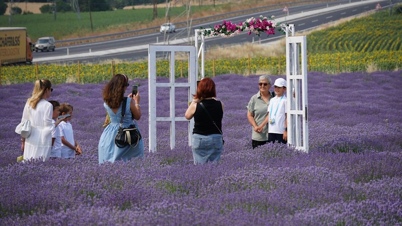 Tekirdağ'da Öğrenciler Lavanta Tarlasındaki Karne Sevinci