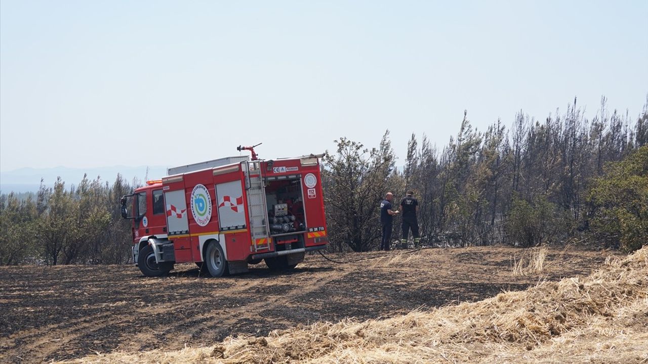 Tekirdağ'da Orman Yangınına Hızlı Müdahale