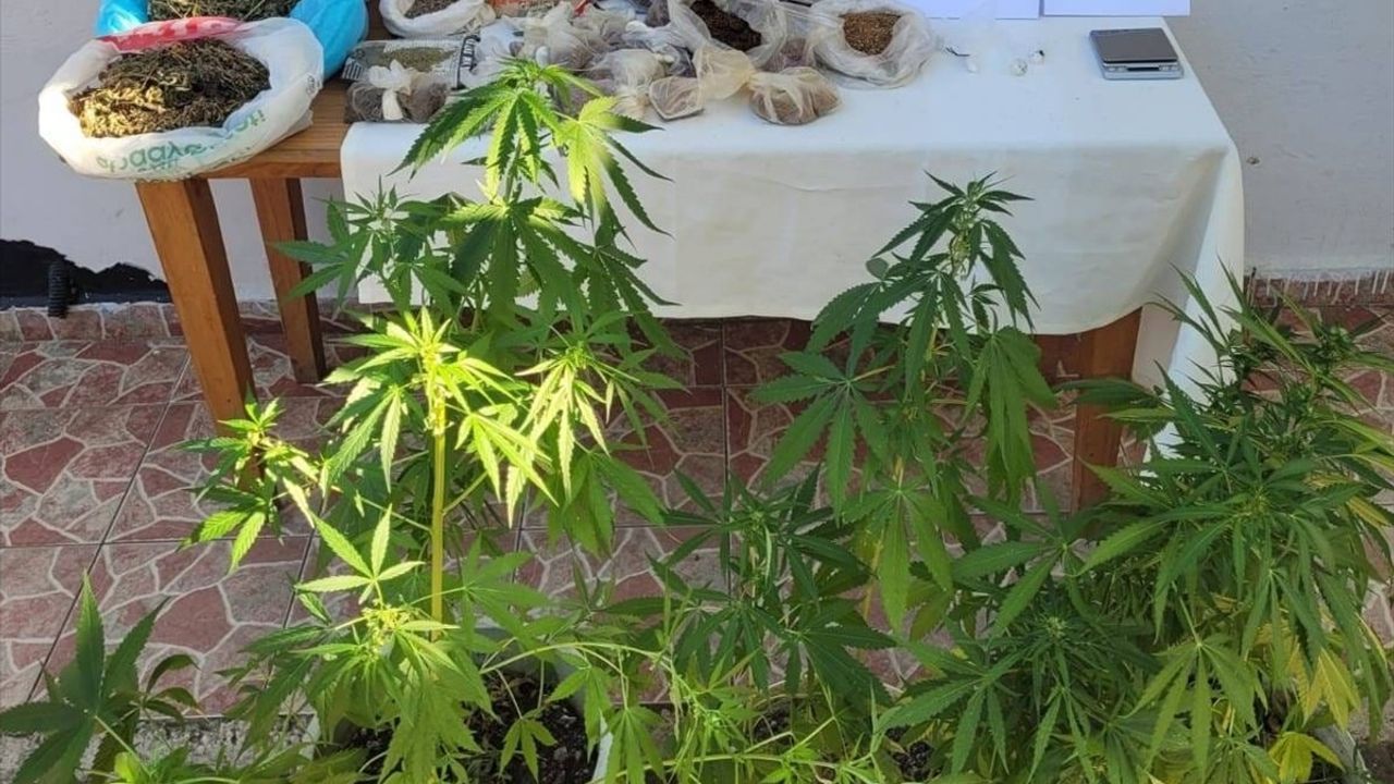 Tekirdağ'da Tarihi Hazine: 432 Sikke ve Obje Ele Geçirildi