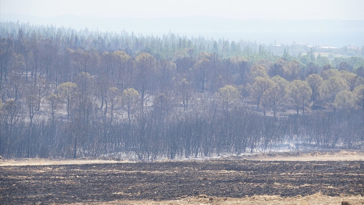 Tekirdağ'daki Orman Yangınına Havadan ve Karadan Müdahale Ediliyor