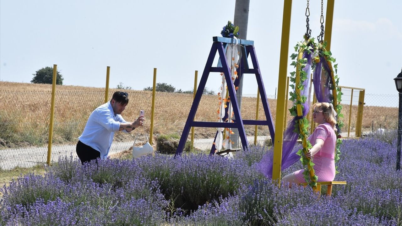 Tekirdağ'ın Lavanta Bahçeleri Fotoğraf Tutkunlarını Bekliyor