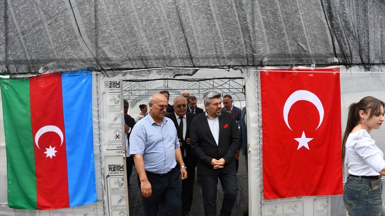 TİKA Başkan Yardımcısı Yorulmaz, Azerbaycan'daki Projelerin Açılışında Bulundu