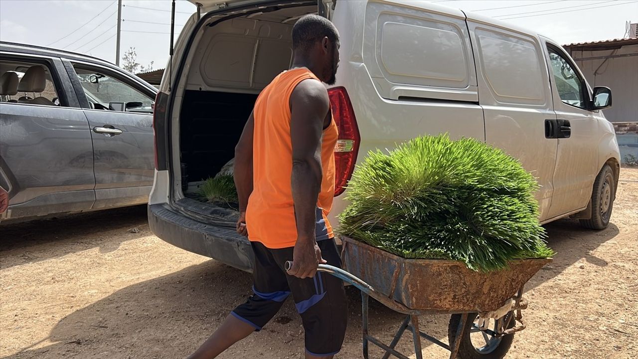 TİKA'dan Libya'da Yenilikçi Taze Yem Projesi