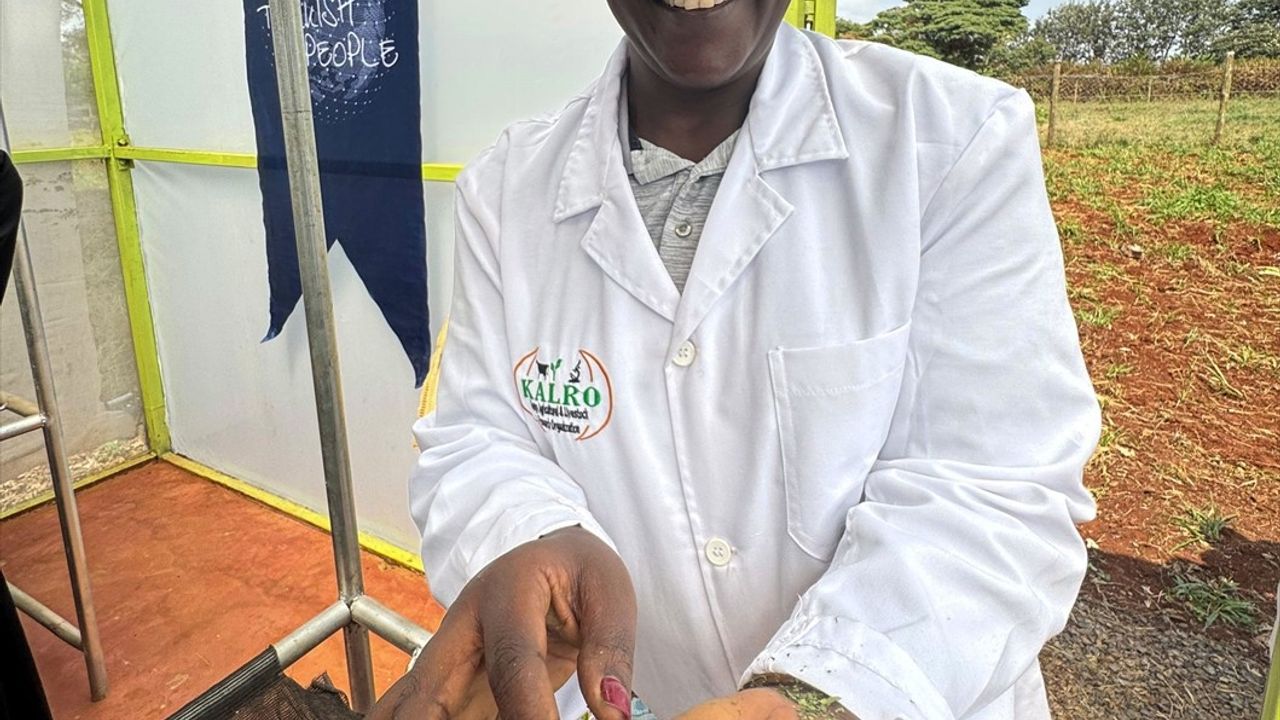 TİKA, Kenya'da Hasat Sonrası Kayıpları Azaltmak İçin Merkez Kurdu
