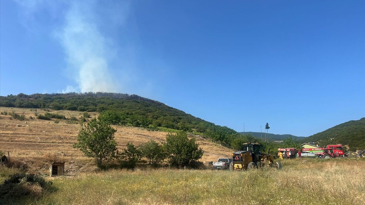 Tokat Niksar'da Orman Yangınına Hızlı Müdahale