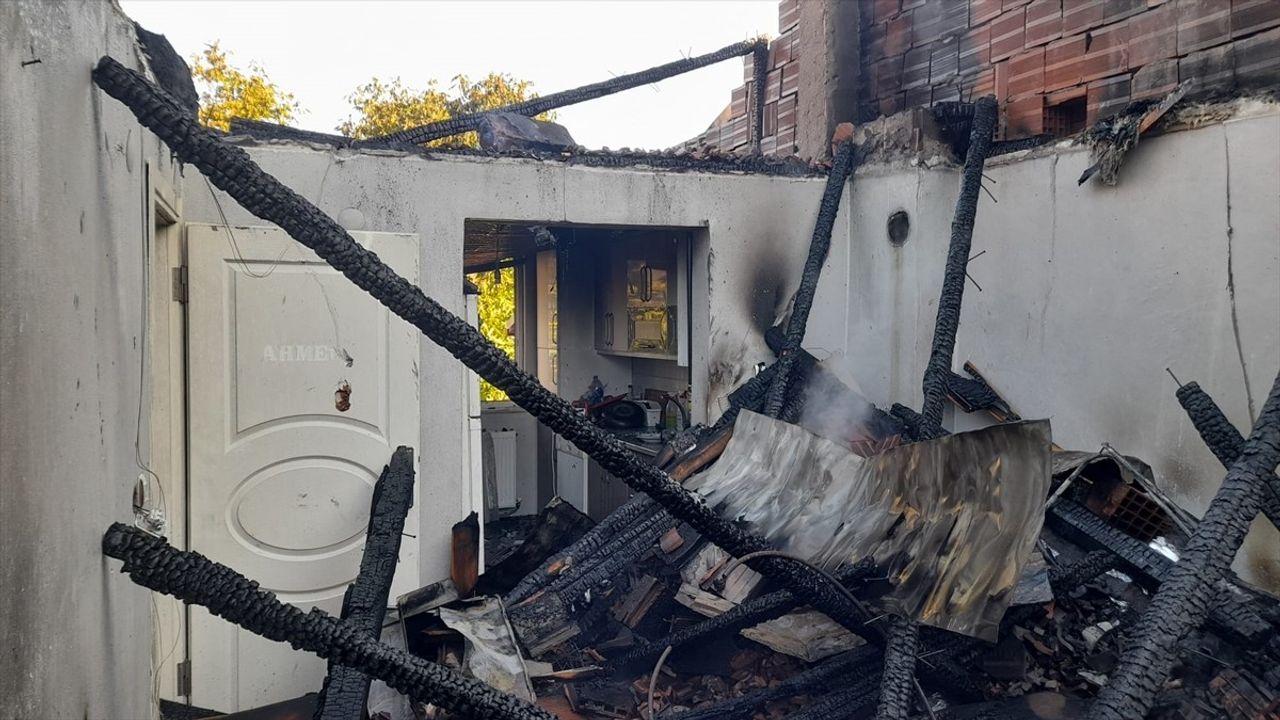 Tokat'ta Yangın: 3 Eve Zarar Verdi, İtfaiye Muhabbet Kuşunu Kurtardı