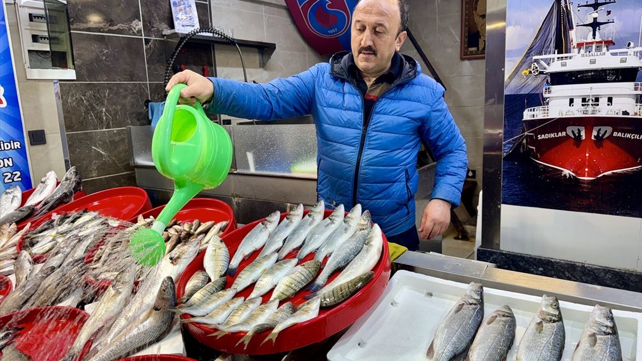 Trabzon'da Balık Tezgahlarında Bolluk: Fiyatlar Kuyruğa Girdi