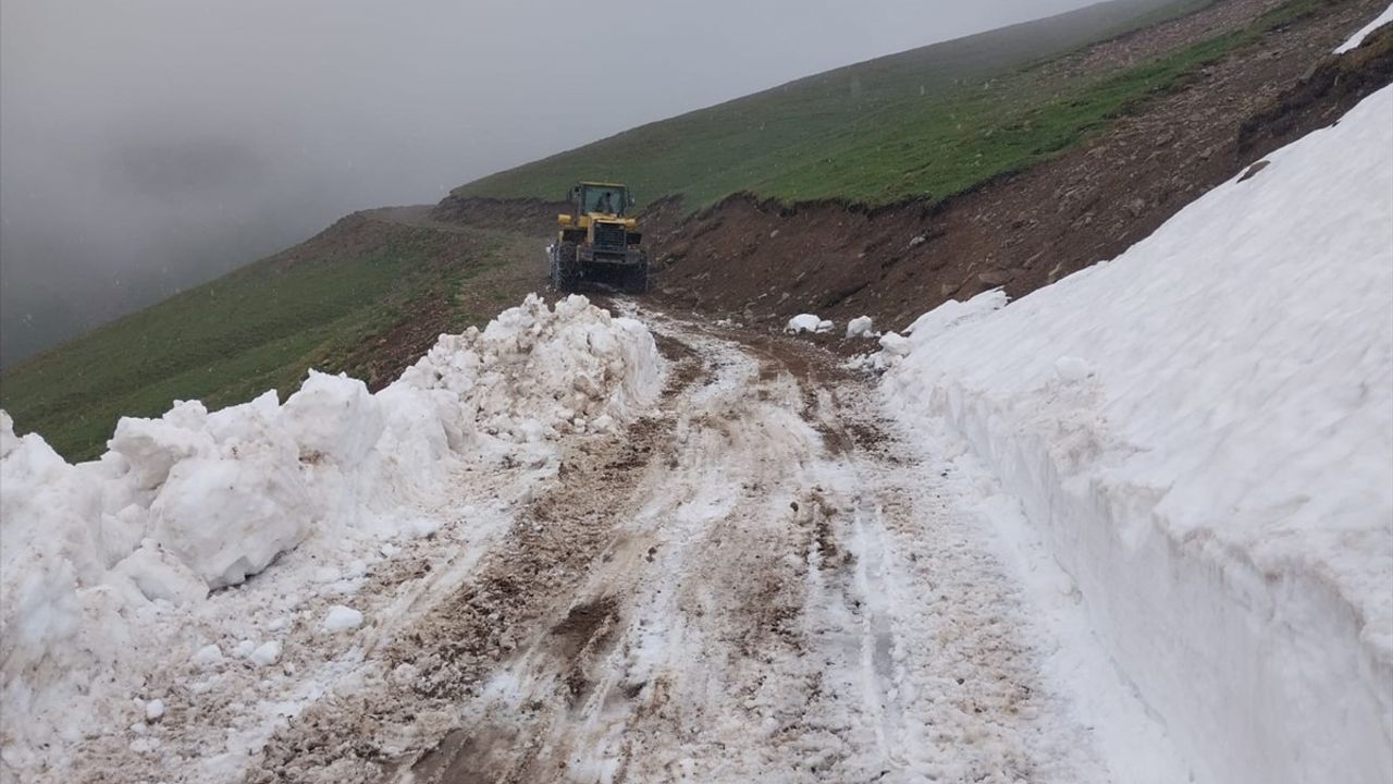 Trabzon'da Yayla Yollarında Kar Temizleme Çalışmaları Başladı