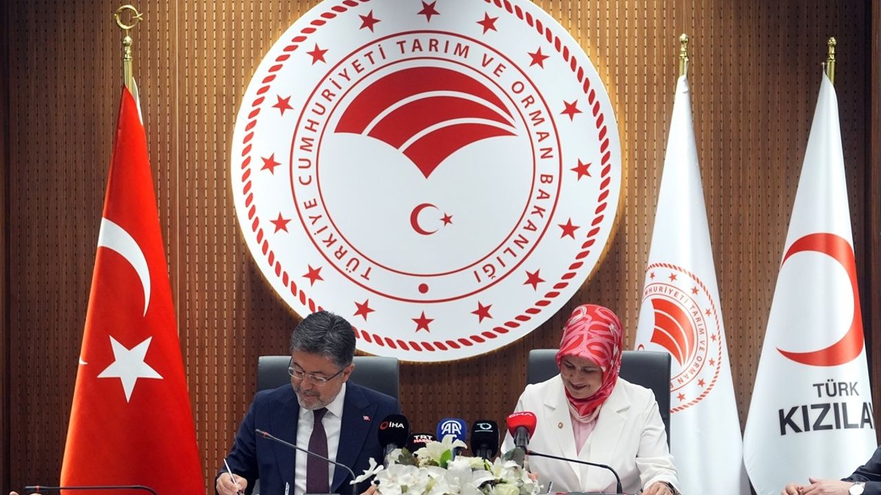 Türk Kızılay'a Kan Bağışında Bulunanlar İçin Fidan Dikilecek
