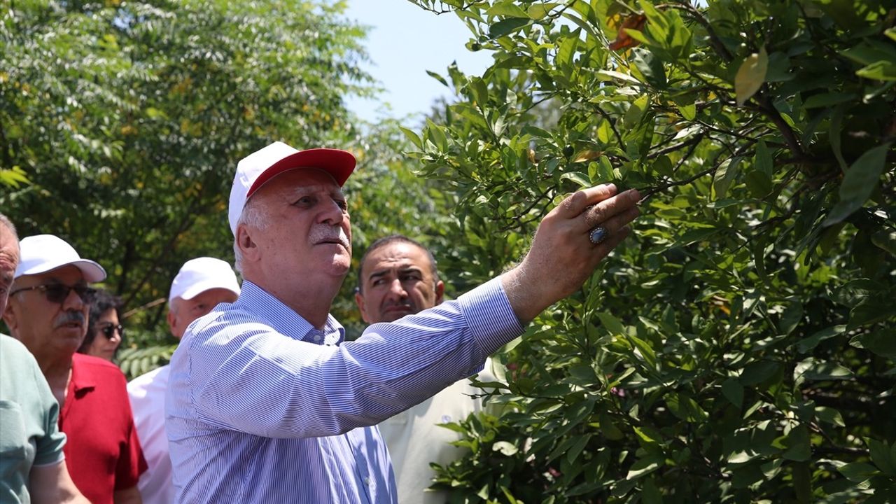 TZOB Başkanı Bayraktar, Hatay'daki Narenciye Bahçelerini Ziyaret Etti