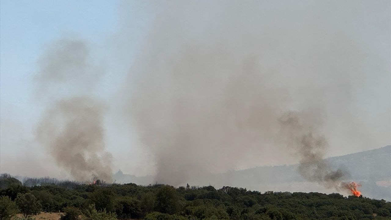 Uşak'taki Yangına Havadan ve Karadan Müdahale