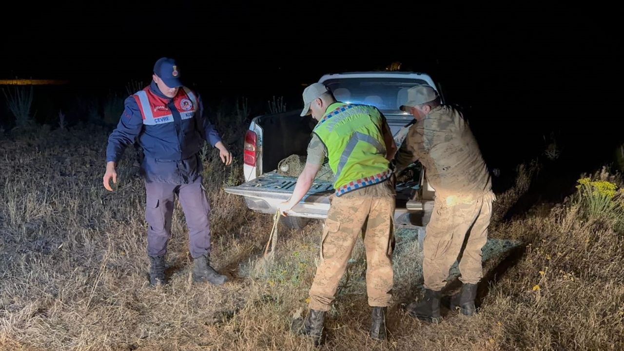 Van'da Kaçak Avlanan 1.5 Ton İncik Kefali Suya Bırakıldı