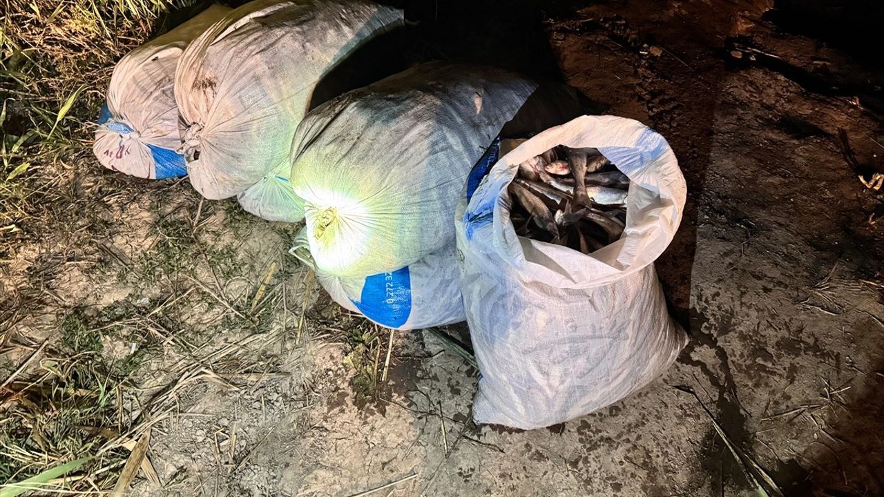 Van'da Kaçak Avlanan 1 Ton 970 Kilogram İci Kefali Ele Geçirildi